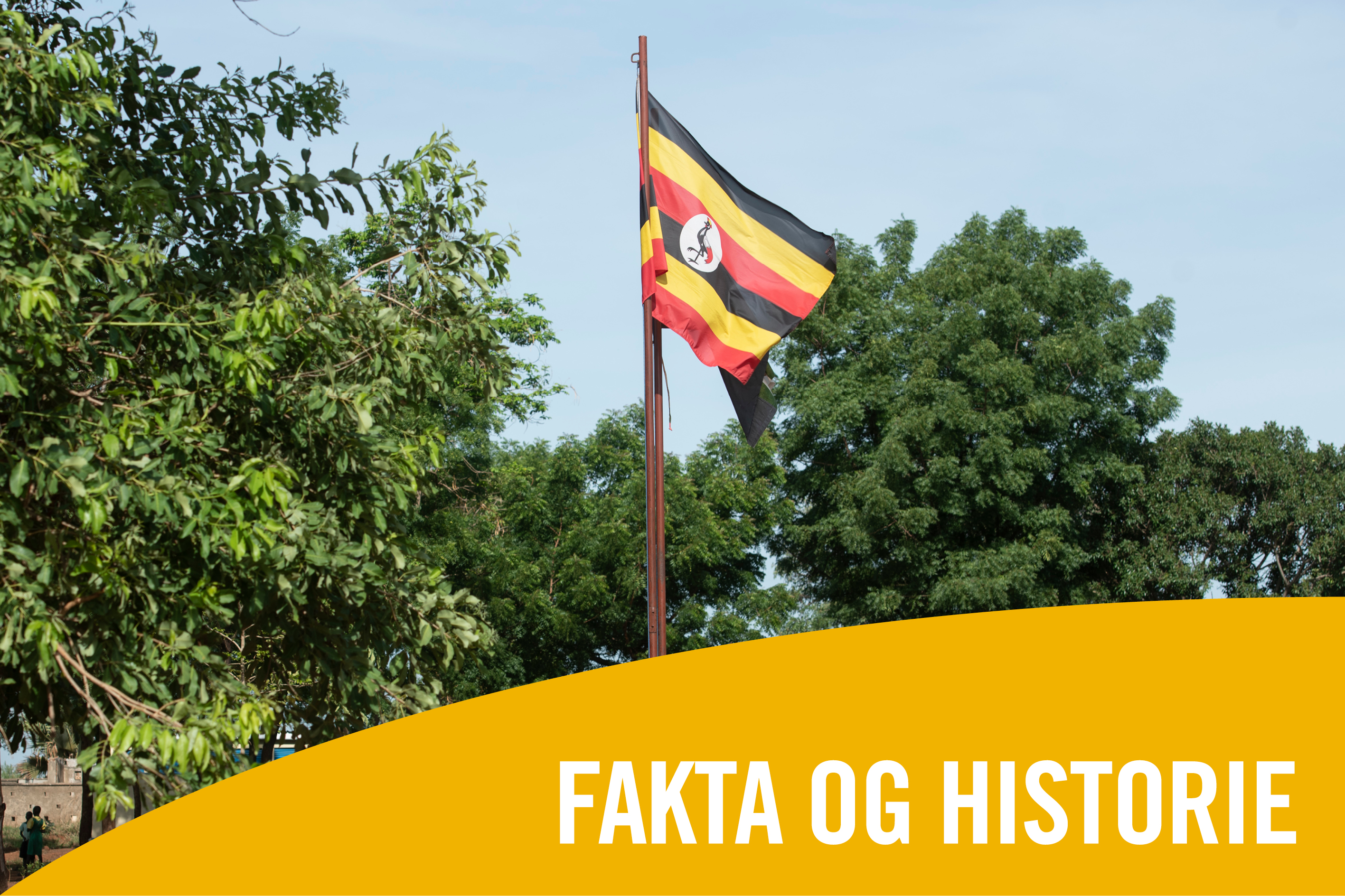 Fakta og historie